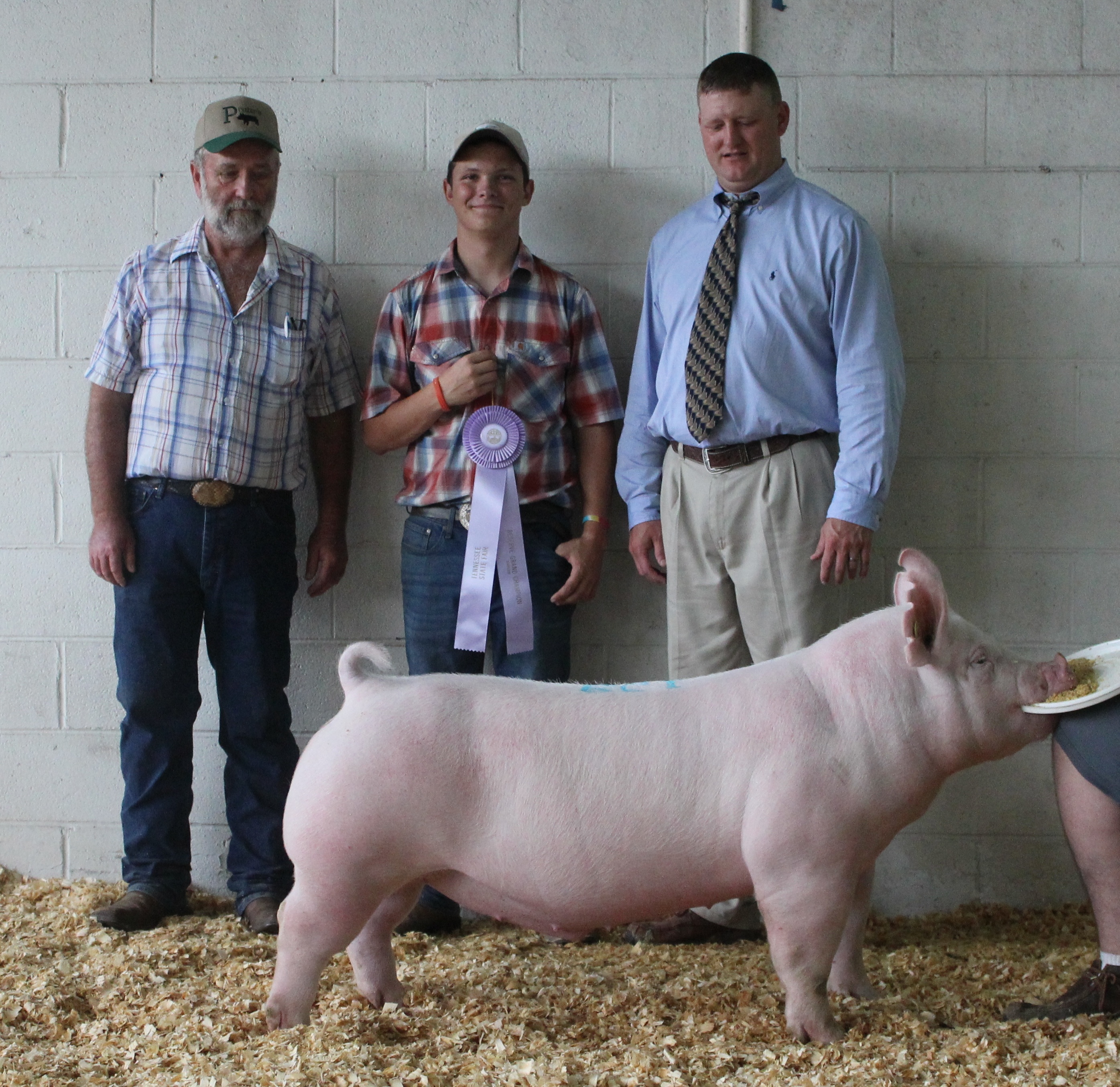 Hunter Curland
2018 Tennessee State Fair
Overall Reserve Supreme Barrow
Champion Yorkshire Barrow