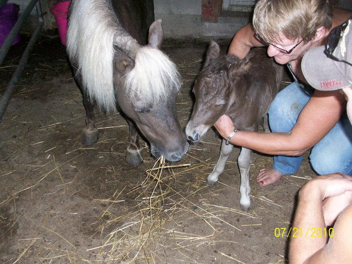Bonnie and her filly Bonnet (newborn miniature horse) and Sharon Allison, the founder and director of Promises Never Broken Foundation.