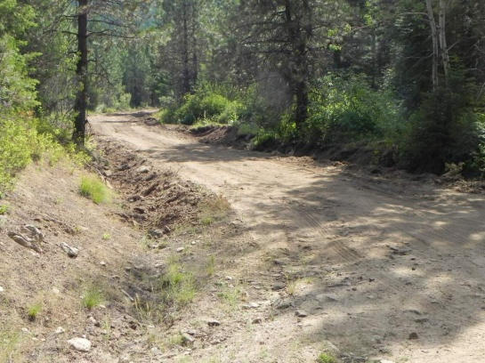 Stop 2: Junction of #50206 & #50566 in the Mica Creek subwatershed
TAP:  IDT Evaluate, permittee coordination, Potlatch easement
