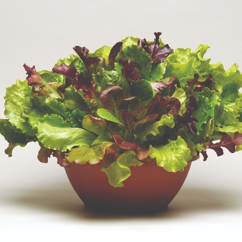 Greens SimplySalad® Summer Picnic Greens SimplySalad® Summer Picnic