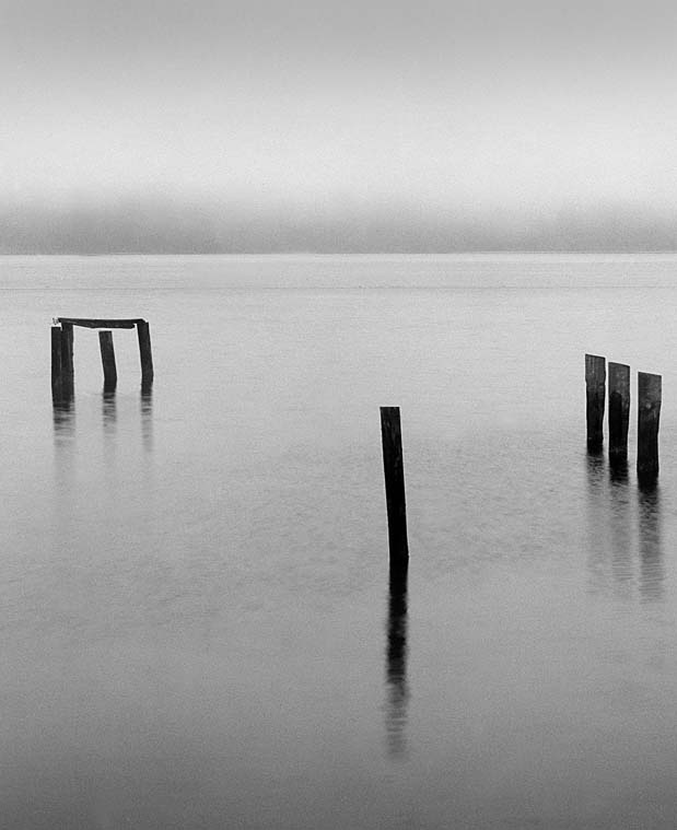 Tomales Bay Pier and Pilings
