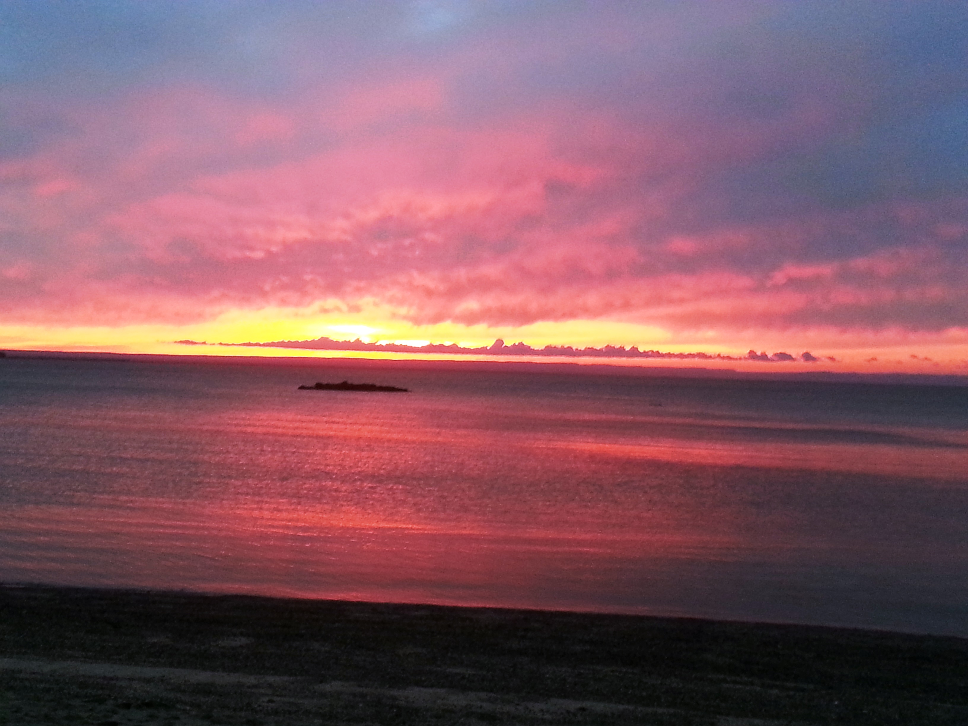 Eco and Nature Eco and Nature