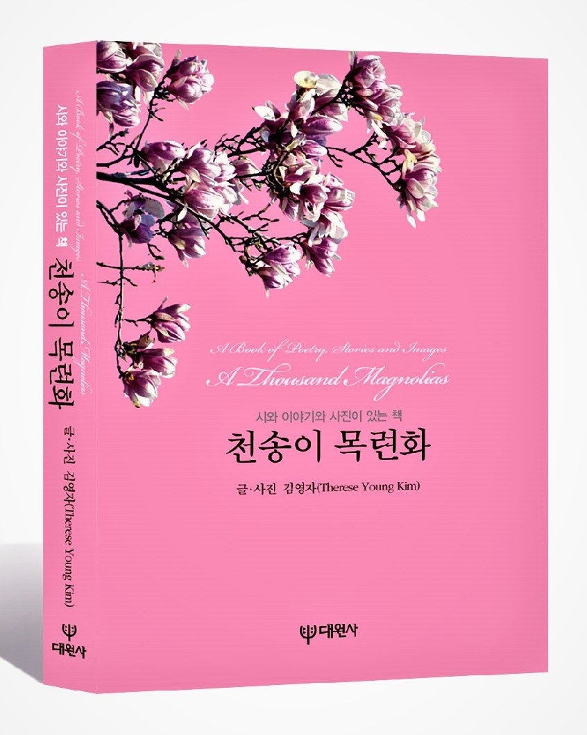 A Thousand Magnolias book