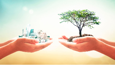 Eco and Nature