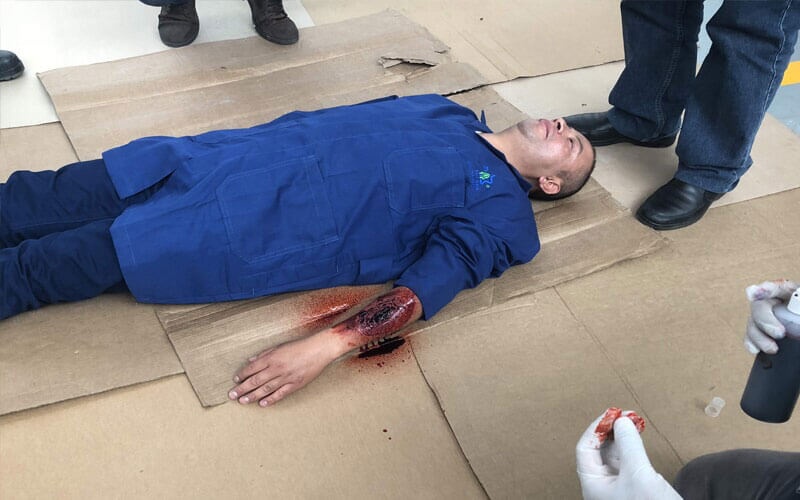 Seguridad e Ingeniería Consultores SA de CV - ESTUDIOS LABORALES