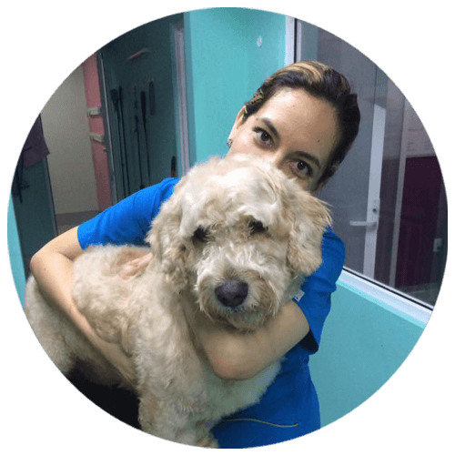 Pet Family Cancún - Vacunas