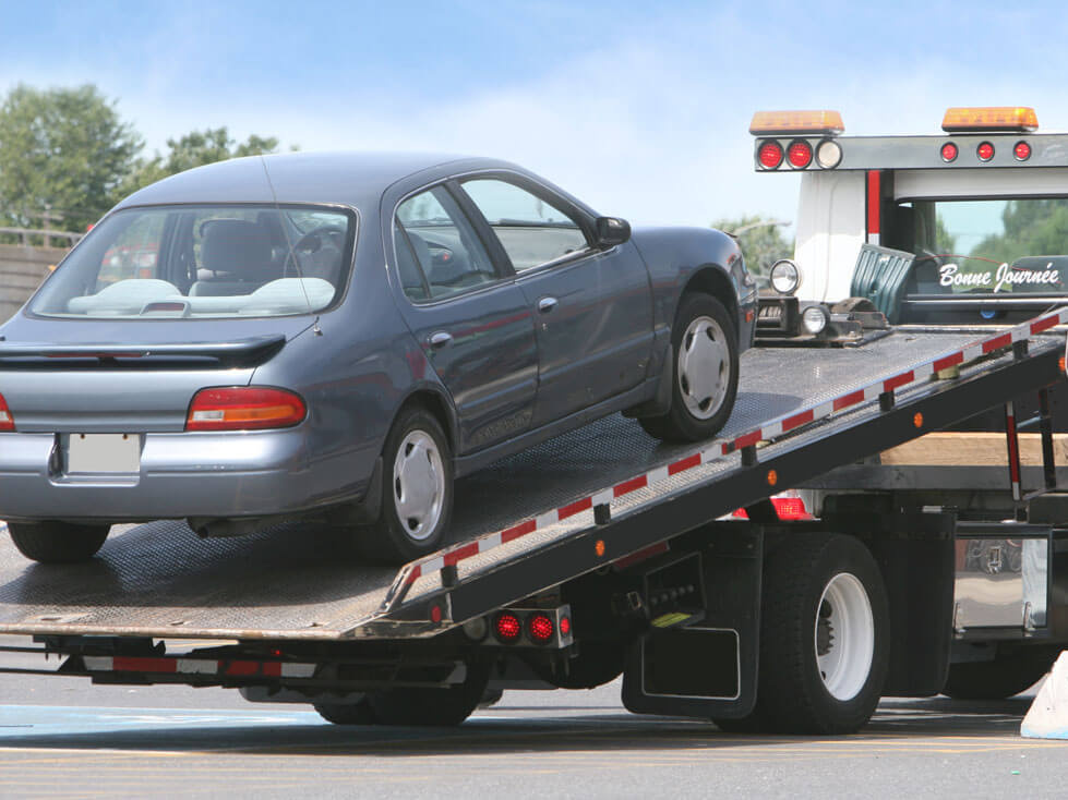 Grúas Bema - Contamos con Plataformas