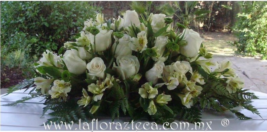 LFA-902
Precio $1,250