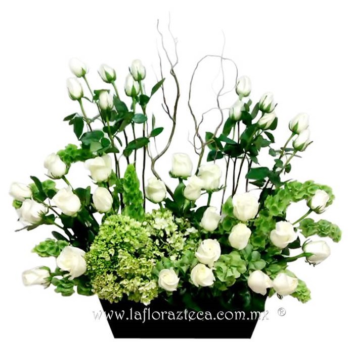 LFA-W010
Precio $1,645