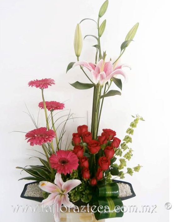 LFA -312
Precio $1080