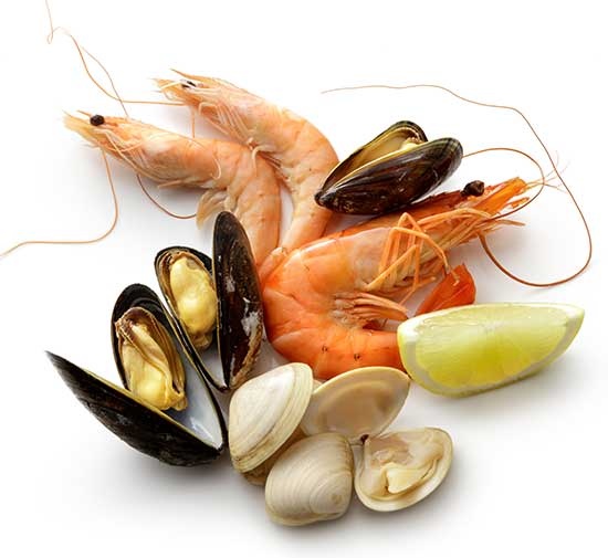 Importadora y Exportadora de Mariscos de Centro América y el Caribe S.A. de C.V. - productos del mar