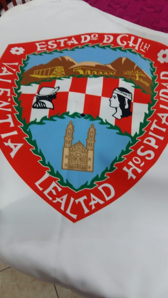 Bandera de los estados de la republica