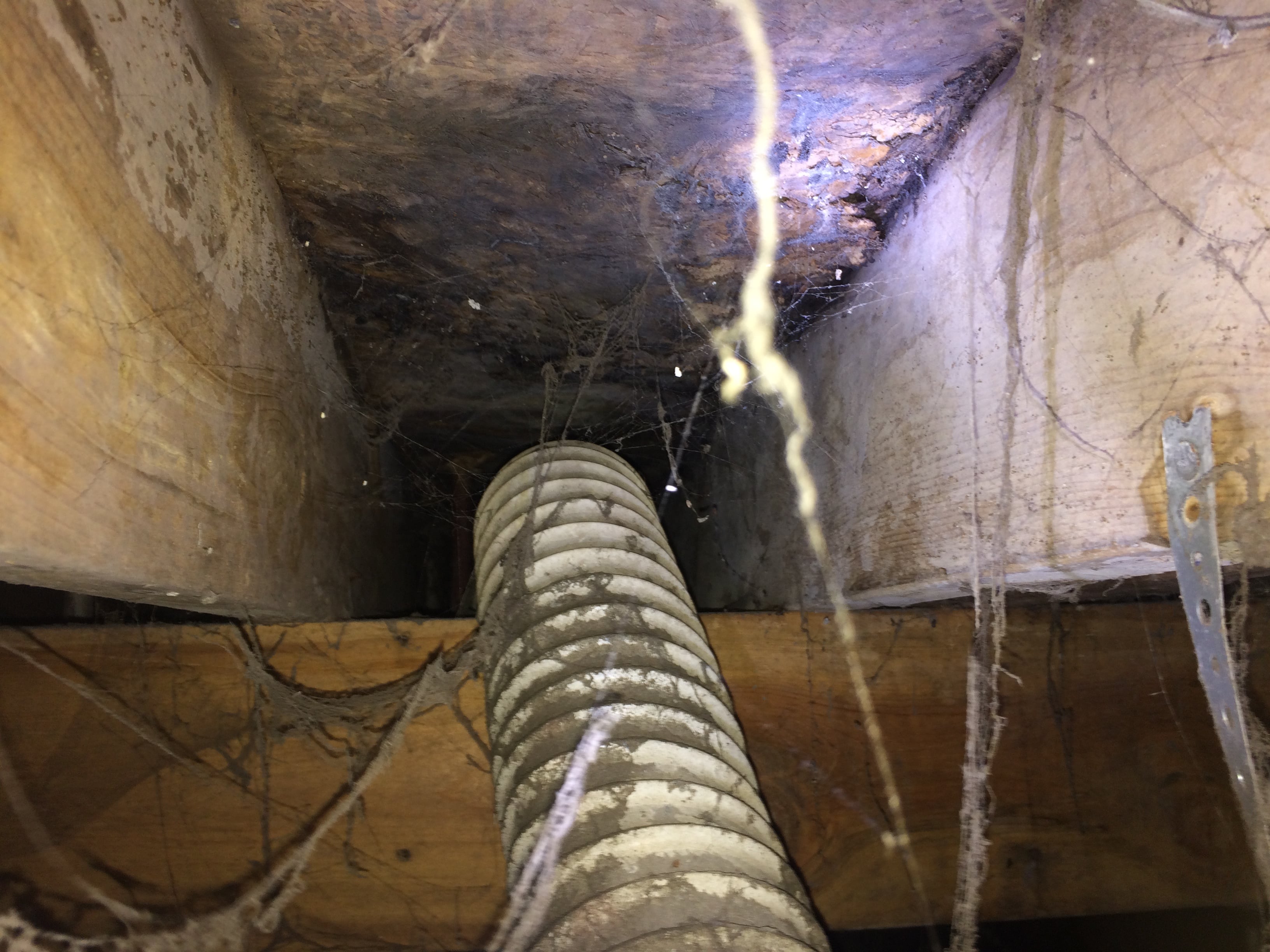 Springfield Foundation Repair Home