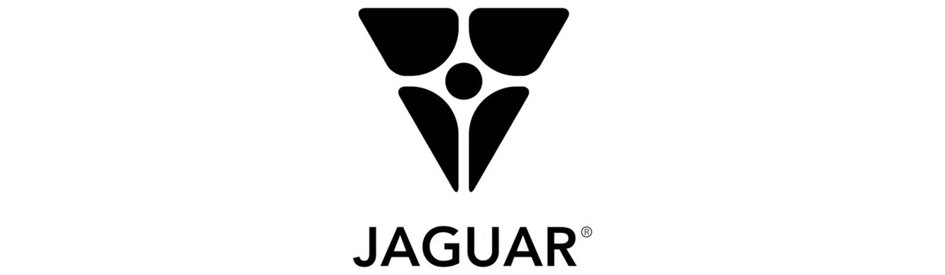 https://0201.nccdn.net/4_2/000/000/008/486/jaguar.jpg