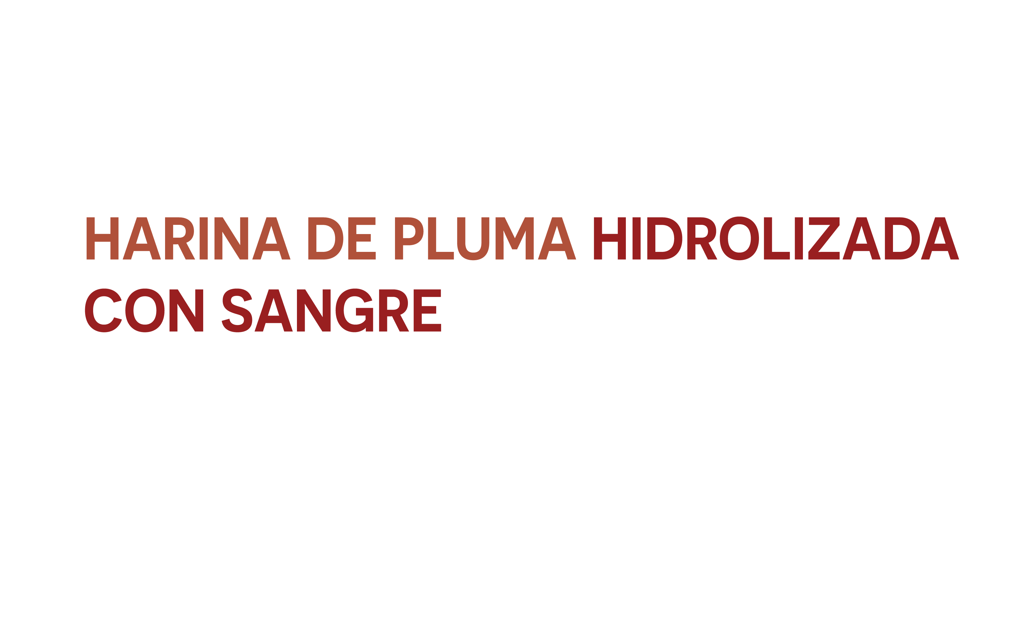 https://0201.nccdn.net/4_2/000/000/008/486/logos_2025-12.png