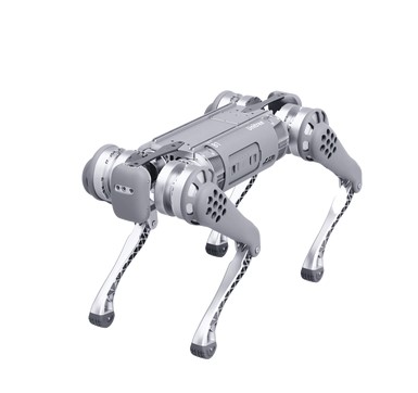 ROBOTPERRO