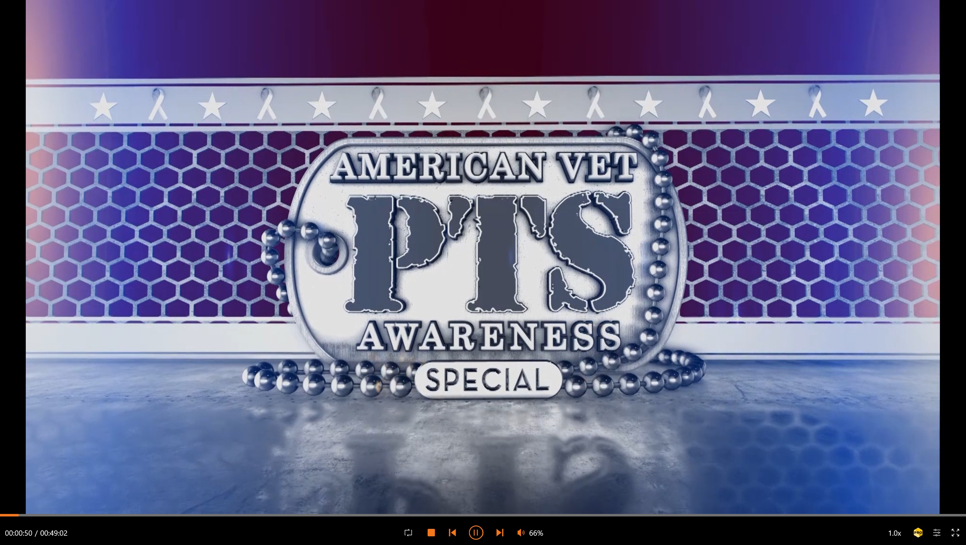 American Vet PTS Awareness Special