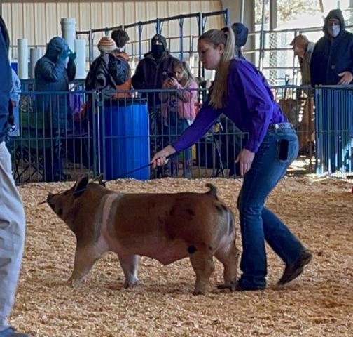 Regan Black
Reserve Champion Prospect Pig
2021 Tennessee State Virtual Show