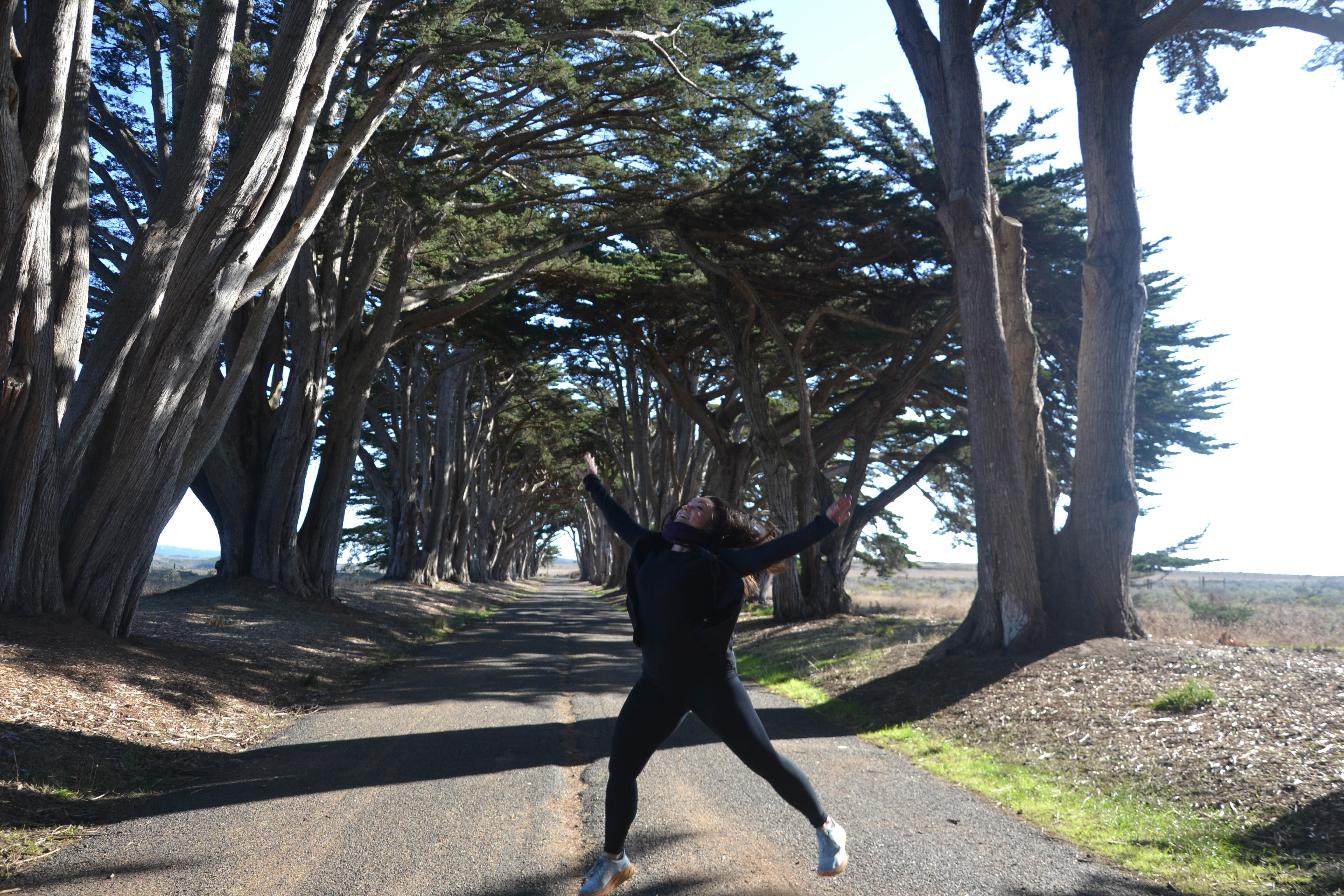 https://0201.nccdn.net/4_2/000/000/008/486/san-fran-order-2-106.jpg