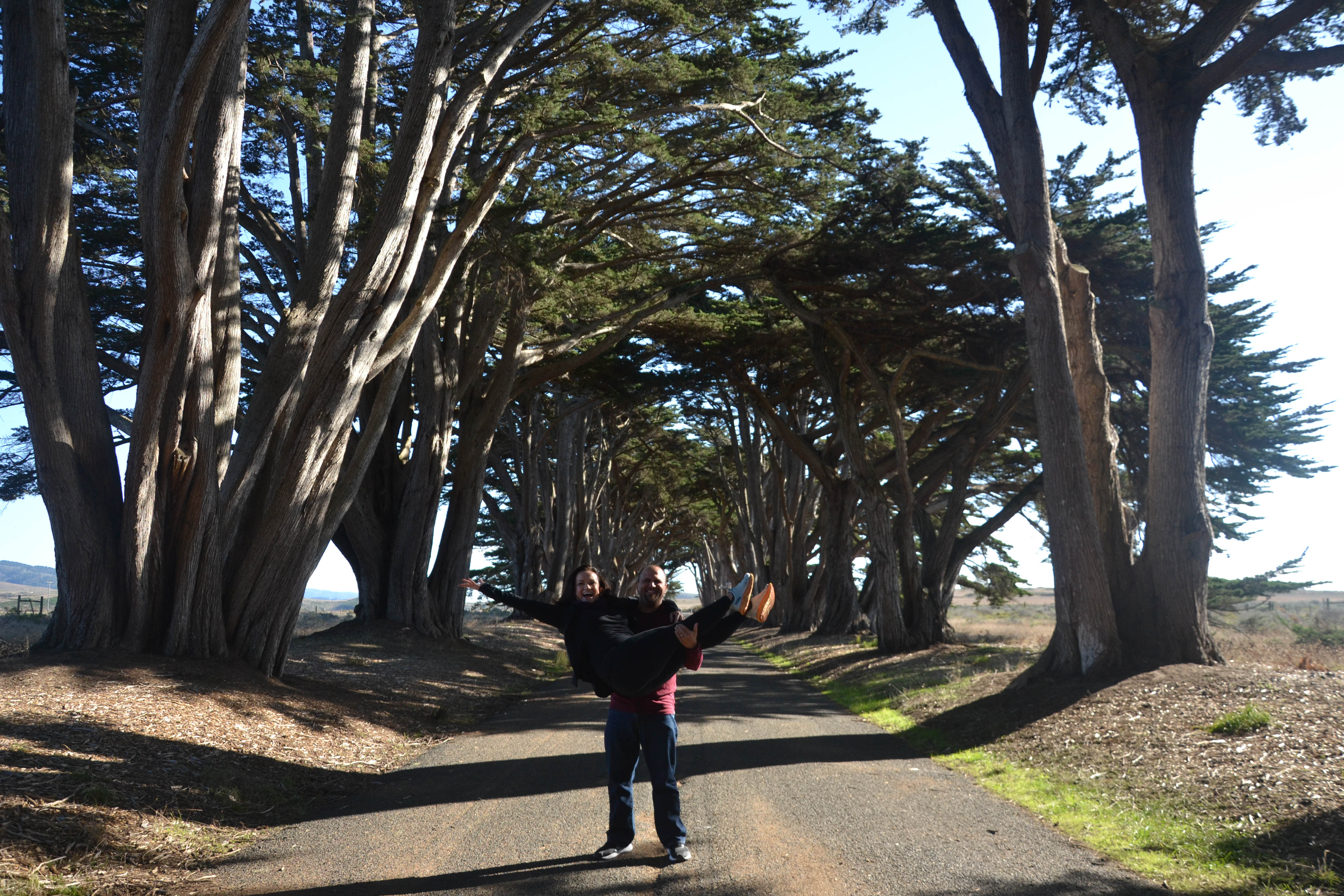 https://0201.nccdn.net/4_2/000/000/008/486/san-fran-order-2-110.jpg