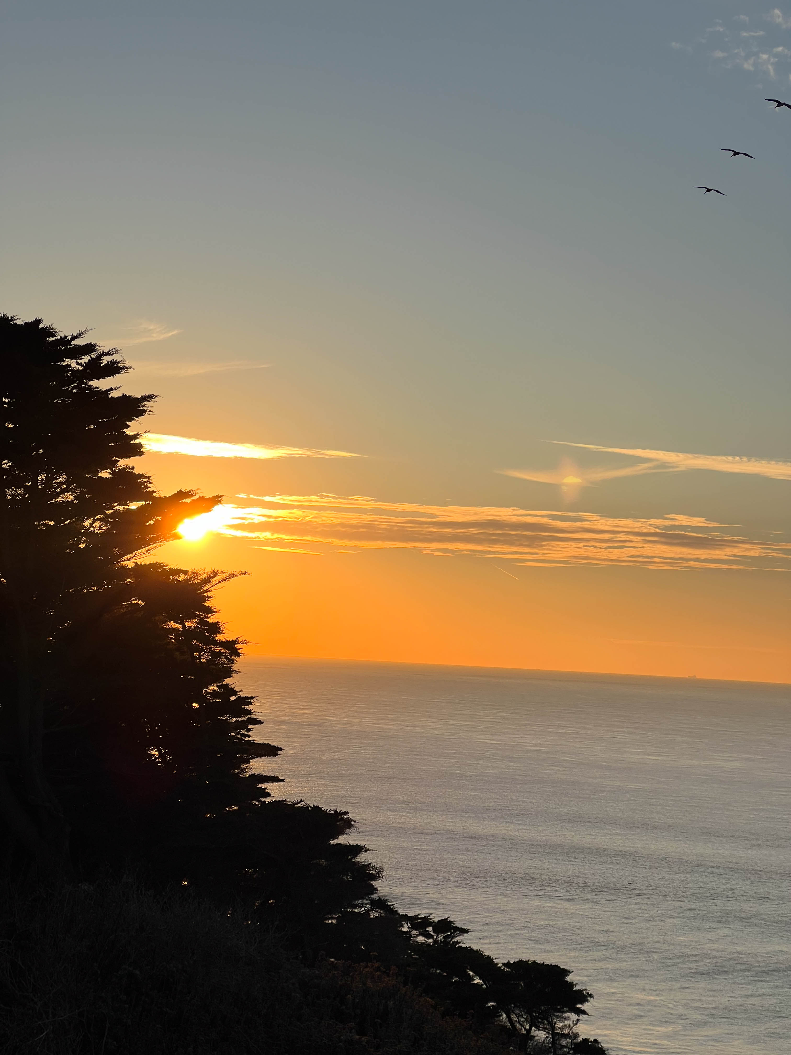 https://0201.nccdn.net/4_2/000/000/008/486/san-fran-order-2-49.jpg