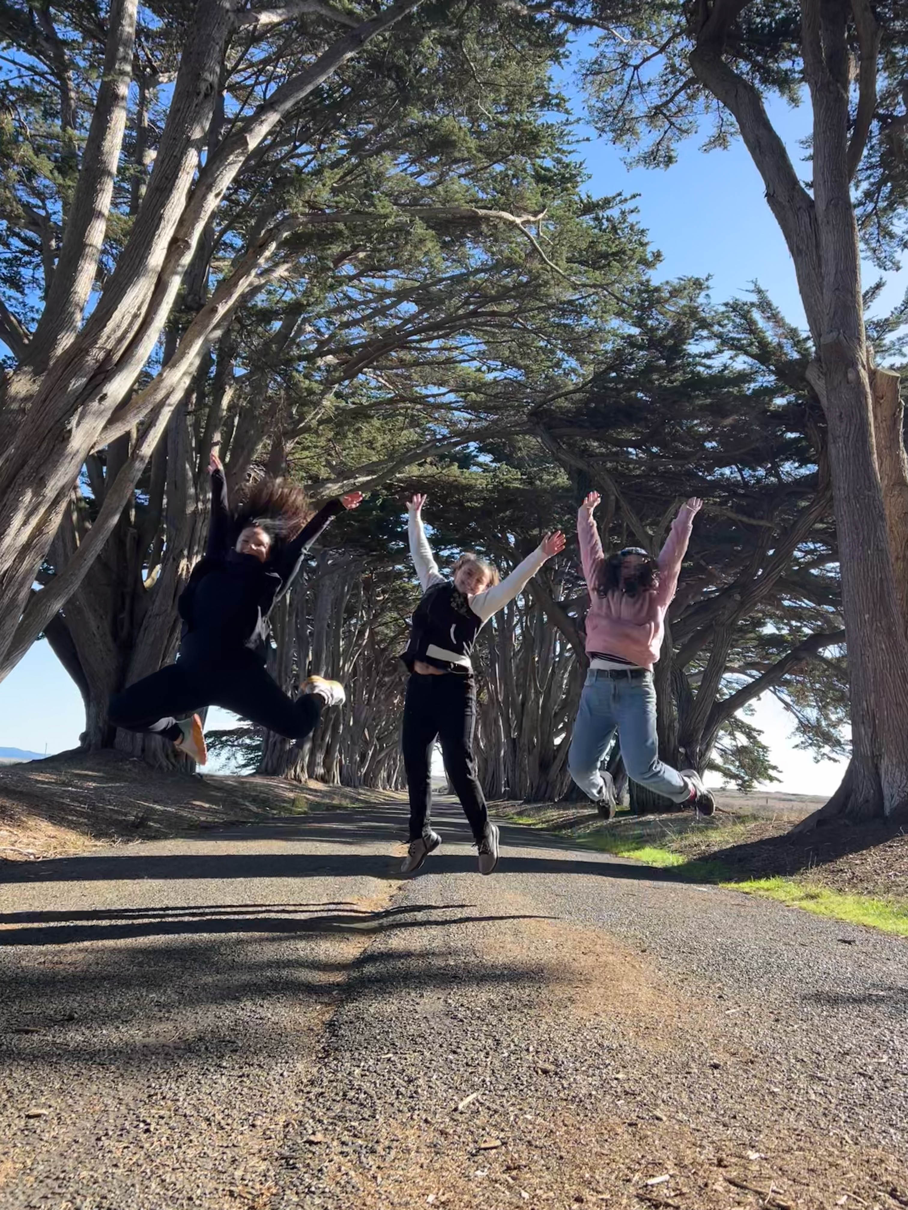 https://0201.nccdn.net/4_2/000/000/008/486/san-fran-order-2-91.jpg