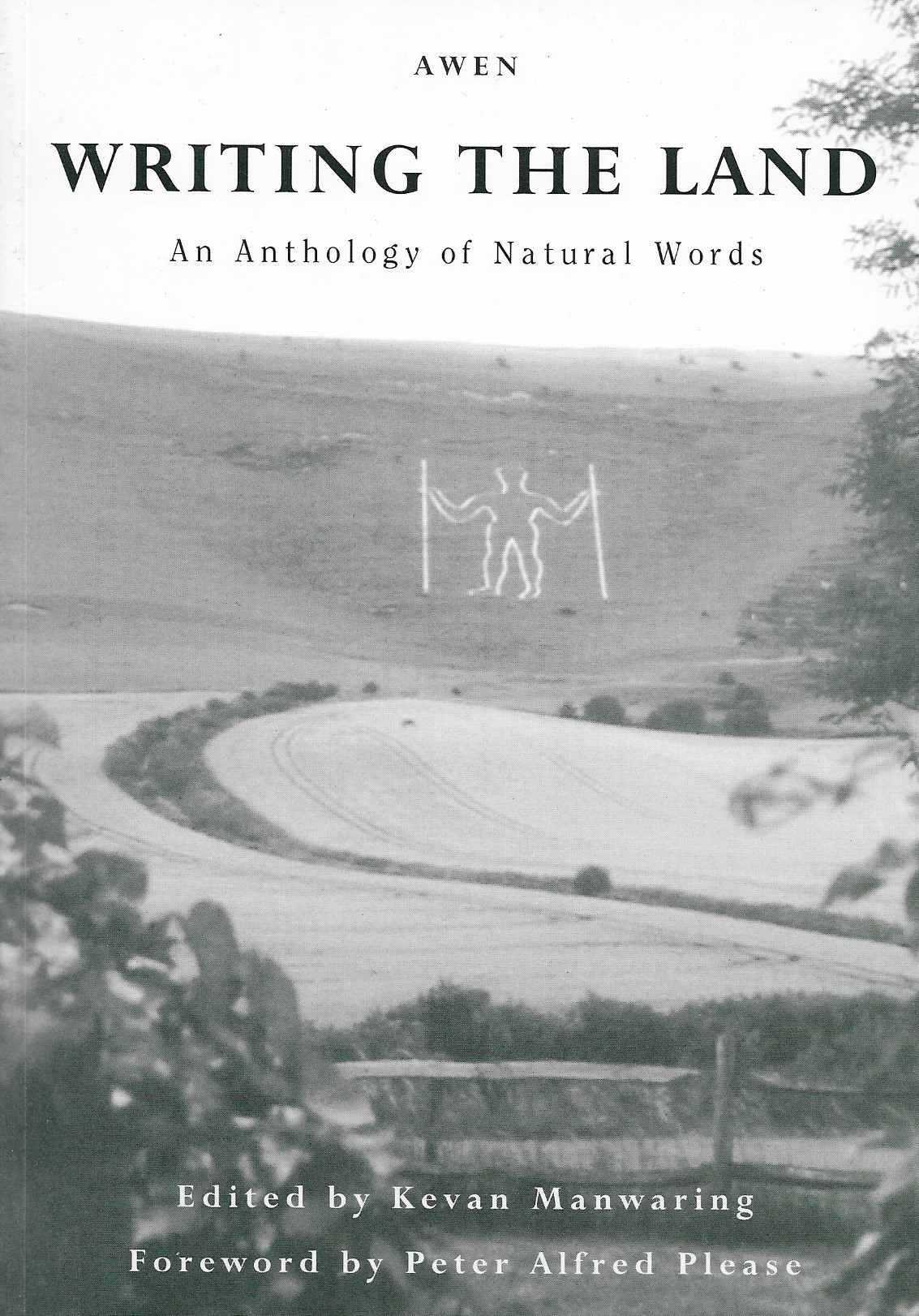 Smiling boy in computer class