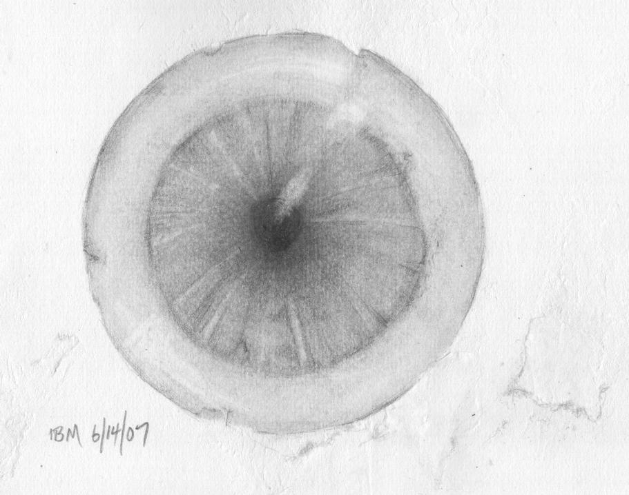 Eye ©ibm 6-14-07