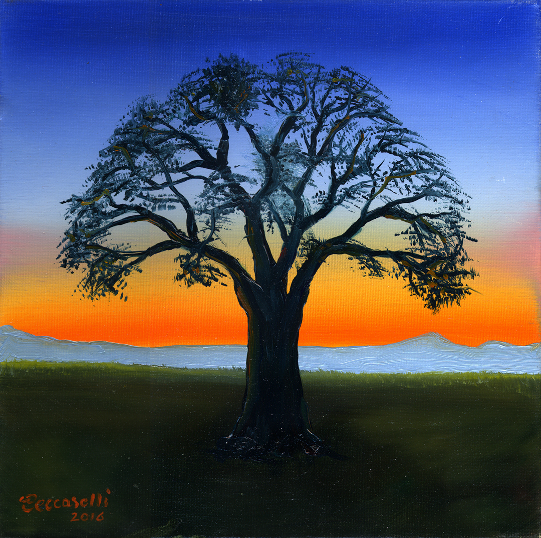 https://0201.nccdn.net/4_2/000/000/008/486/tree---sunset-72.jpg