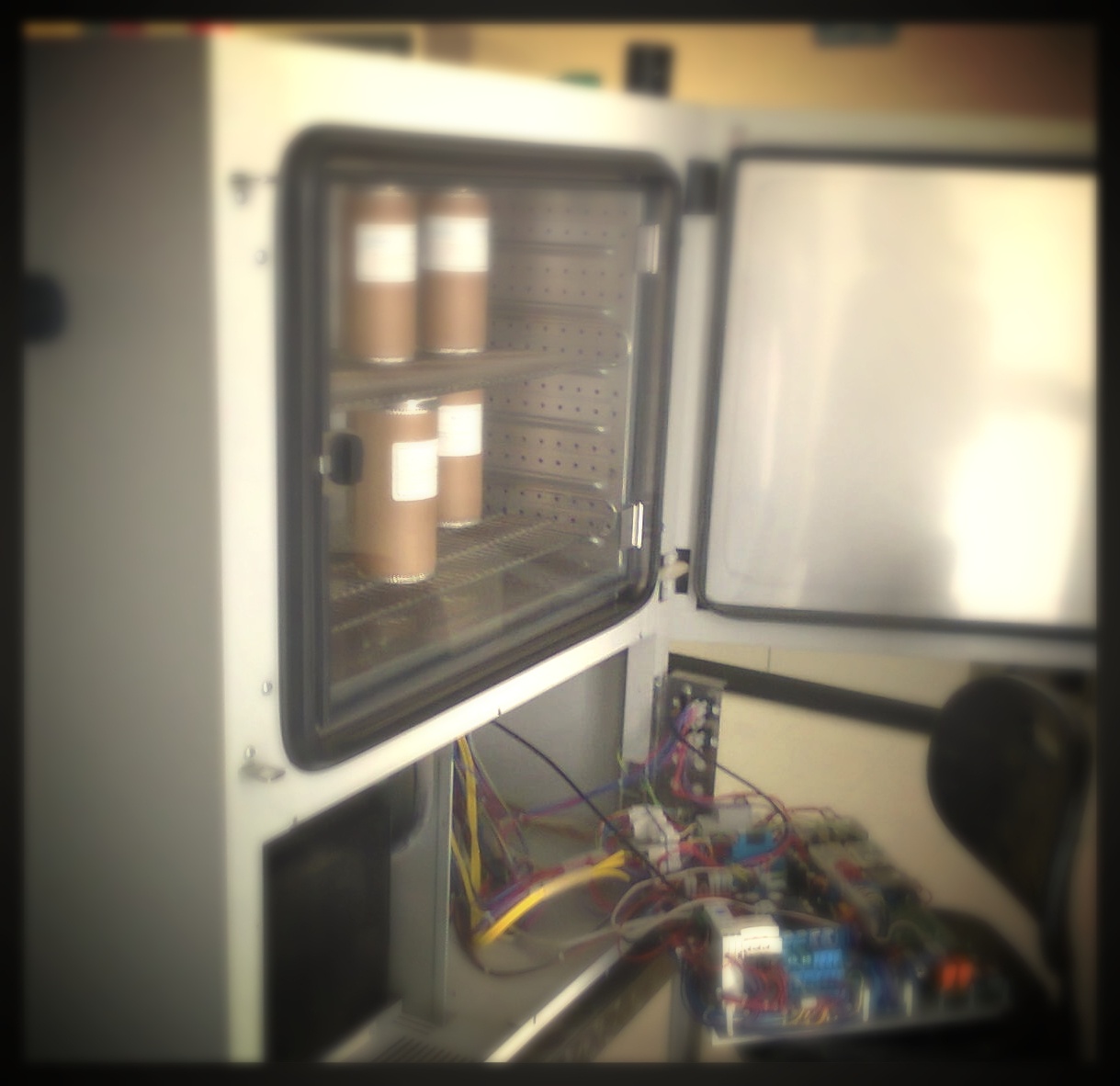 Servicios de Mantenimiento