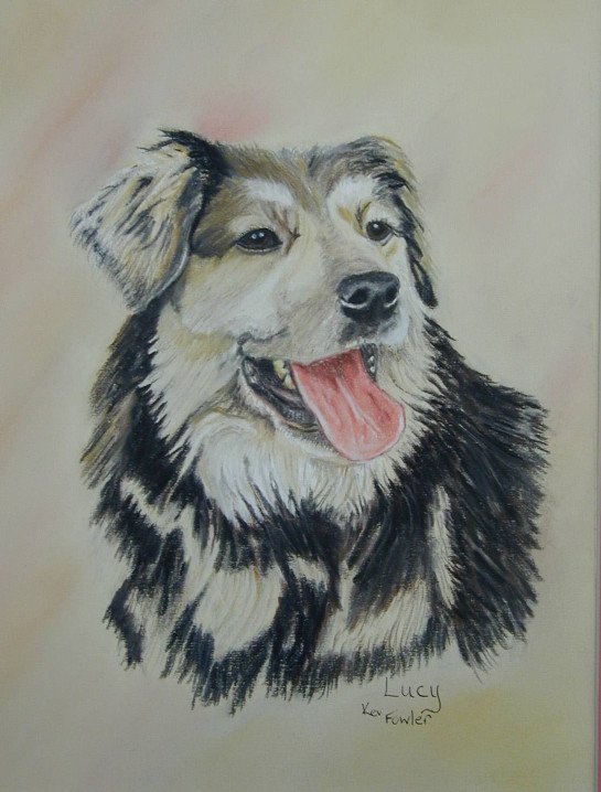 Lucy. ........ Pastel Pencils
SOLD