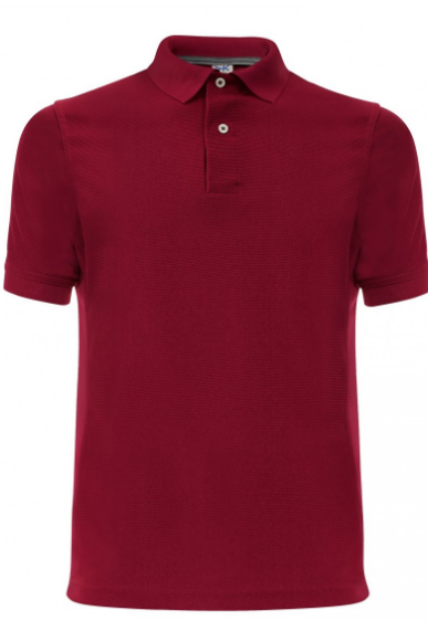 PLAYERA TIPO POLO ADVANCE