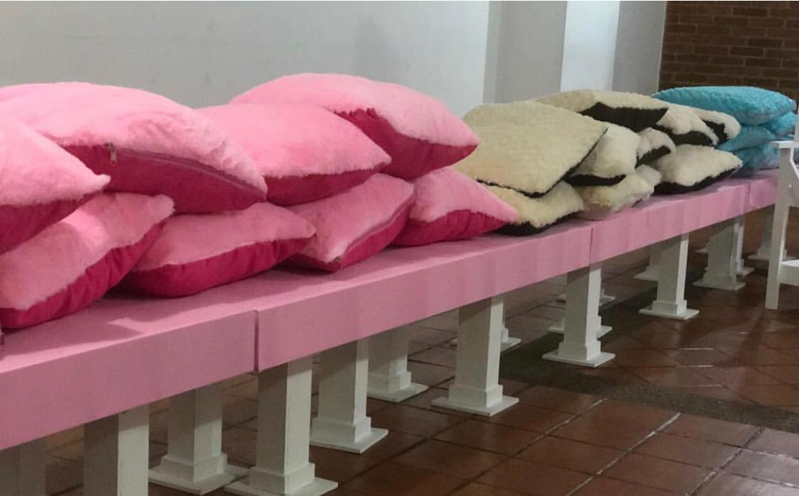 Cojines en tela felpudo
Color Blanco o Rosado
44cm x 44cm
Alquiler $ 5.000
Precio Unitario