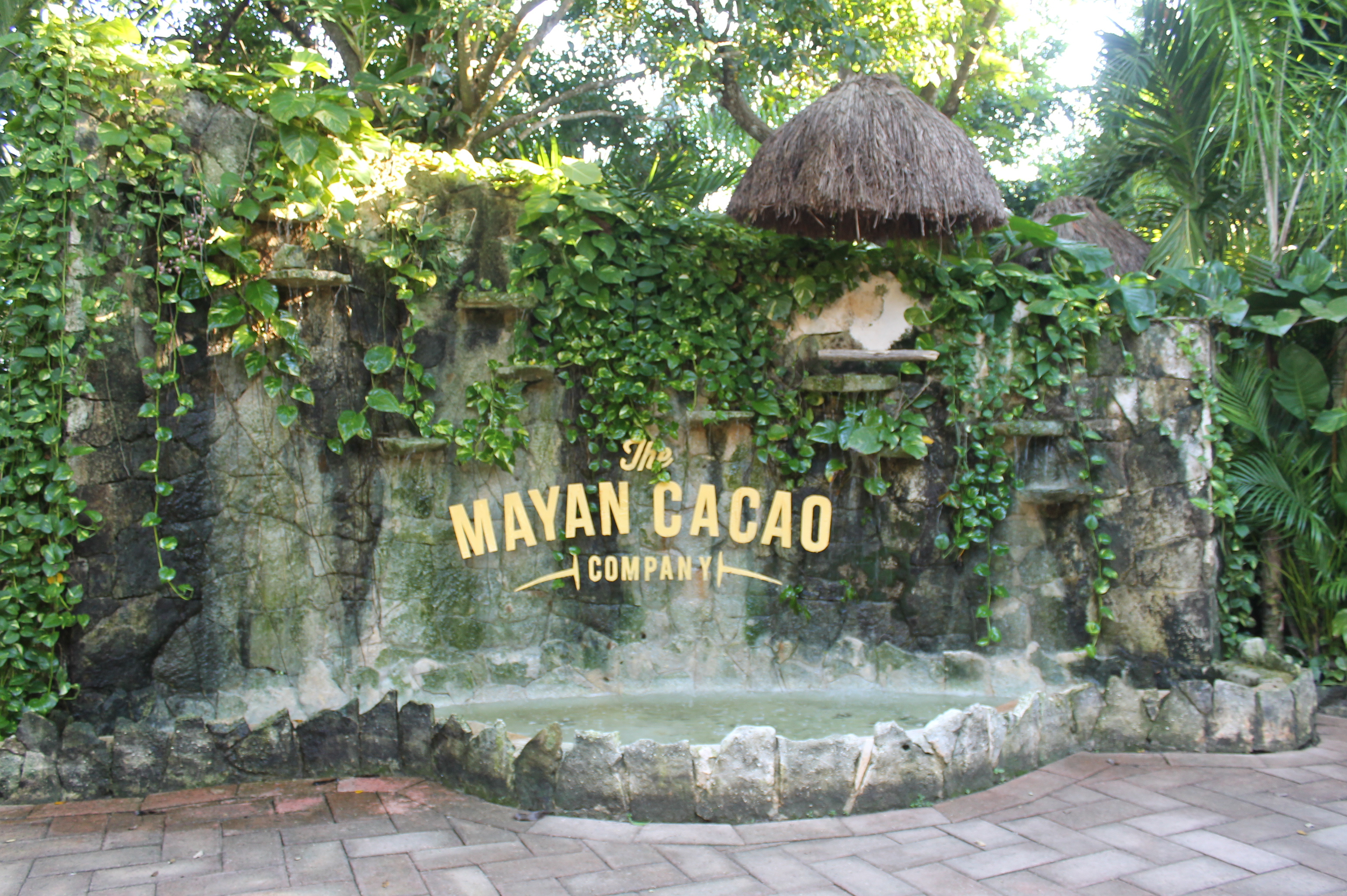 On our tour we also went to the Mayan Cacao Company.  Fresh made Chocolate and a margarita!