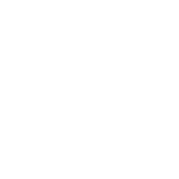 Graph icon