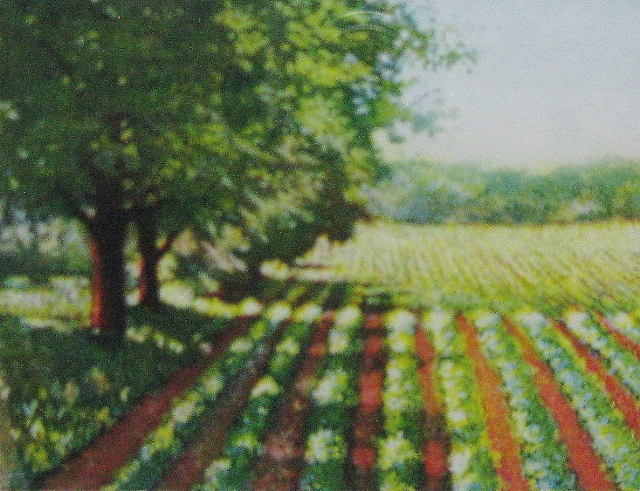 Hegler, Far Afield, 3x4 Aquatint