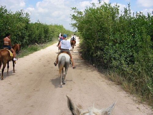 PASEOS MUY SEGUROS ¡¡¡