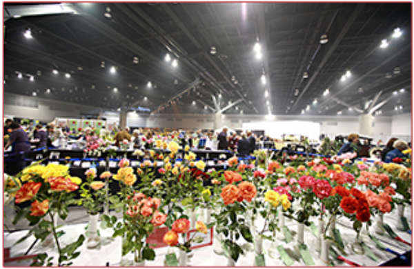 The World Rose Convention and Festival attracted visitors and participants from around the world and featured the largest rose show and festival ever staged in Vancouver.
