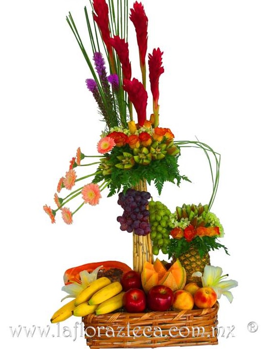 LFA-509
Precio $1,850