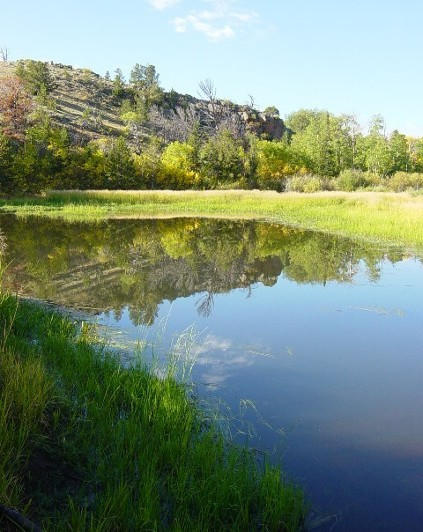Beaver Pond Reflections