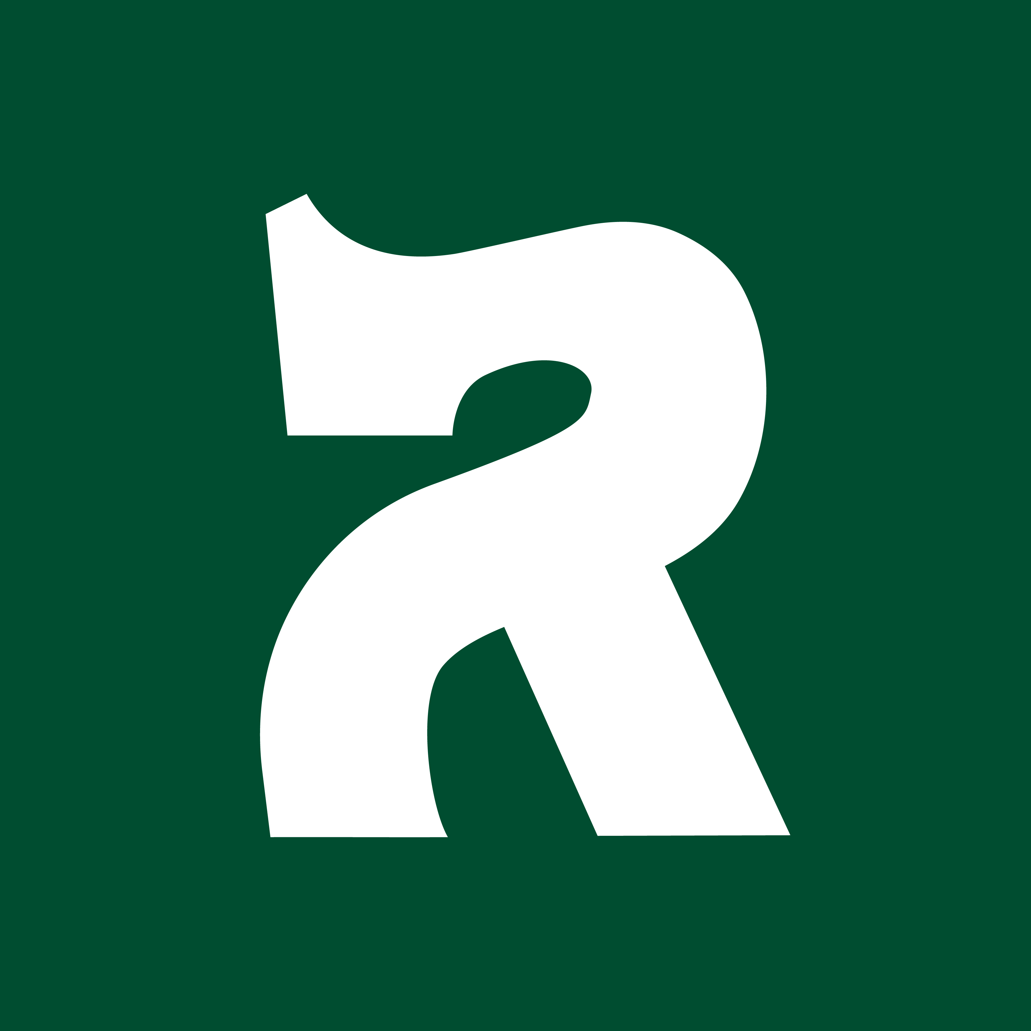 Reyes Soluciones y Materiales