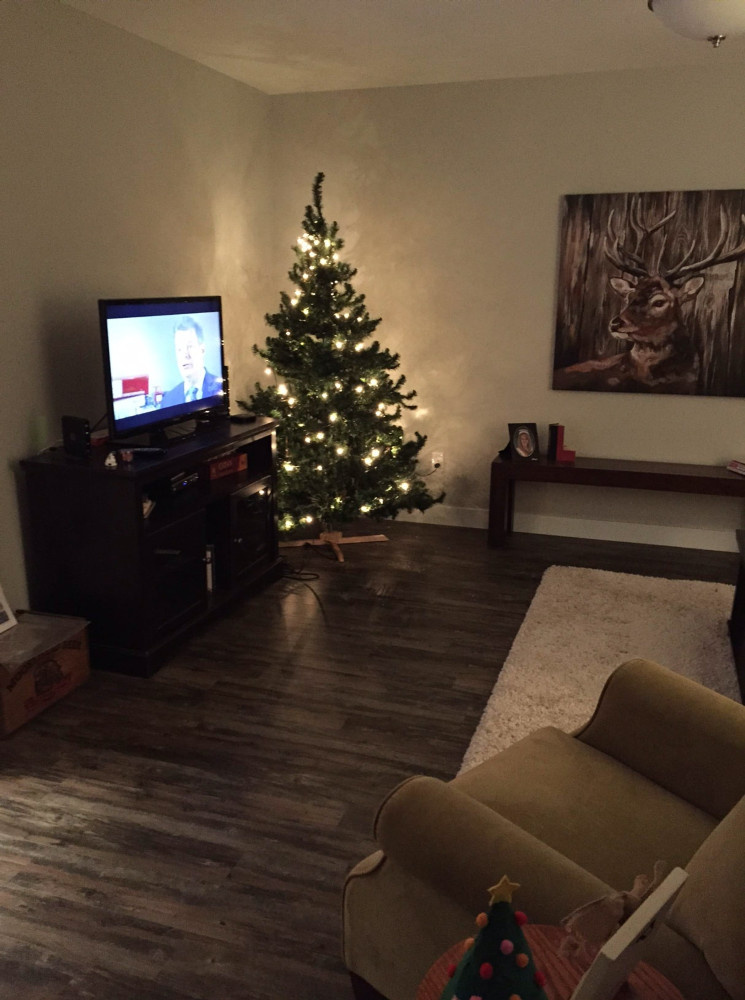 12 Cathedral Living Room