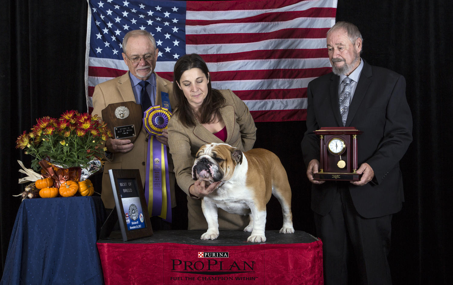 2012 National Specialty week
2nd of 2 Best In Specialty wins over the National week
Breeder Judge Mr. Michael Staley