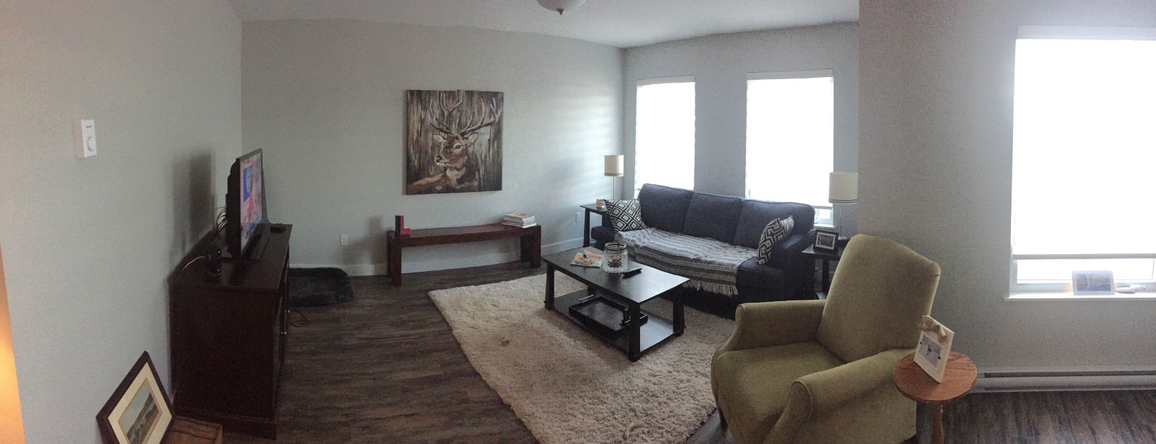 12 Cathedral Living Room