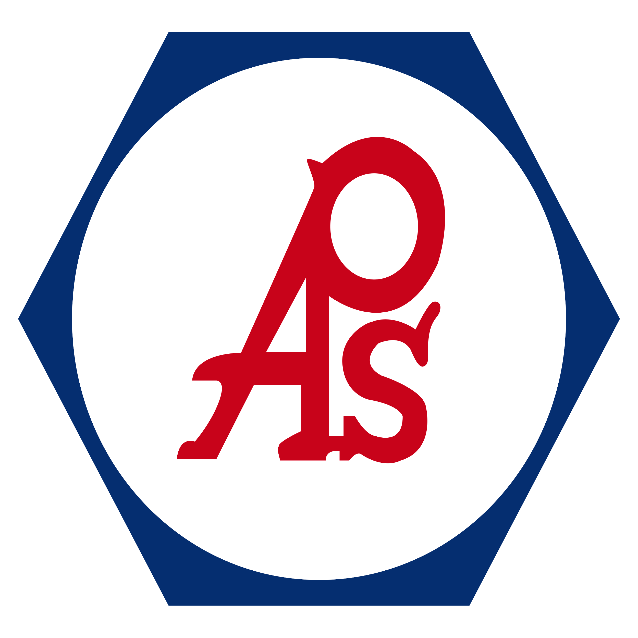 Aplicación de Proyectos y Servicios, S.A. de C.V.