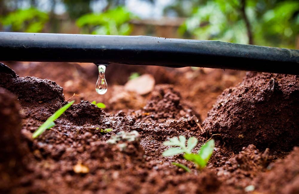 https://0201.nccdn.net/4_2/000/000/00d/f43/Aprende-a-evaluar-un-sistema-de-riego-por-goteo-1000x650.jpg