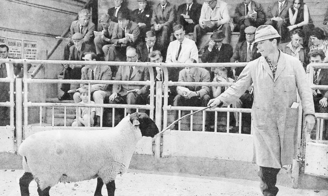 Dick Gough at Sheep Sale at Bury Livestock Market in 1965