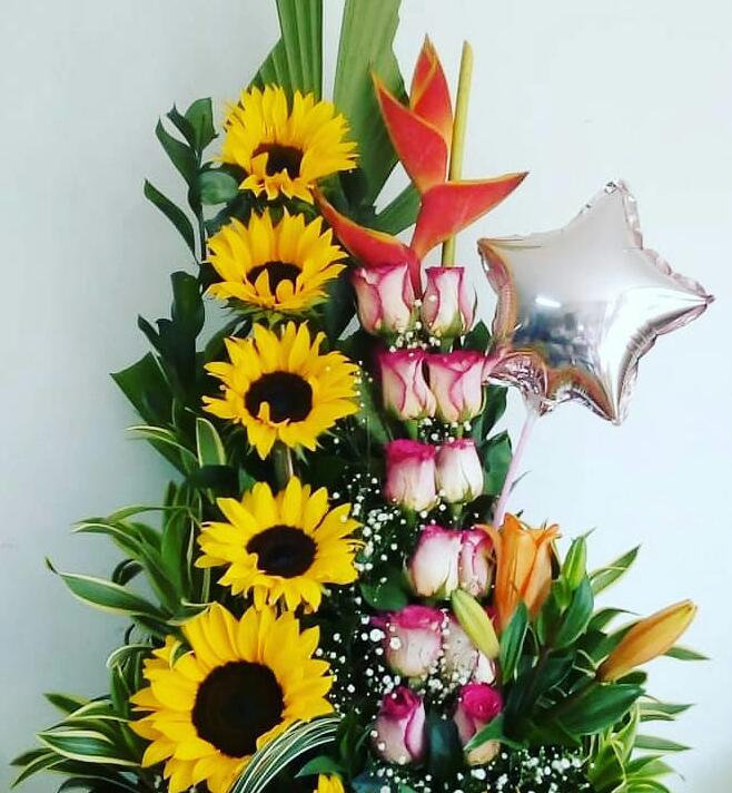 https://0201.nccdn.net/4_2/000/000/00d/f43/IMG-20190501-WA0003.jpg