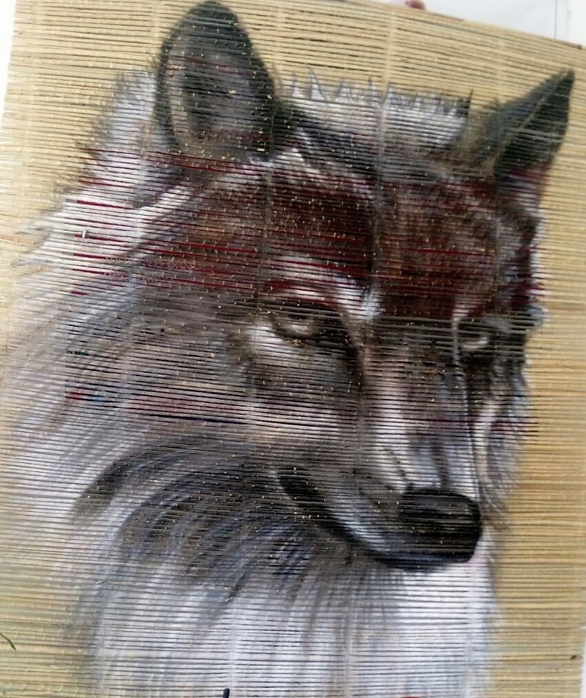 https://0201.nccdn.net/4_2/000/000/00d/f43/Persiana-de-vara--Lobo-851x1013.jpg
