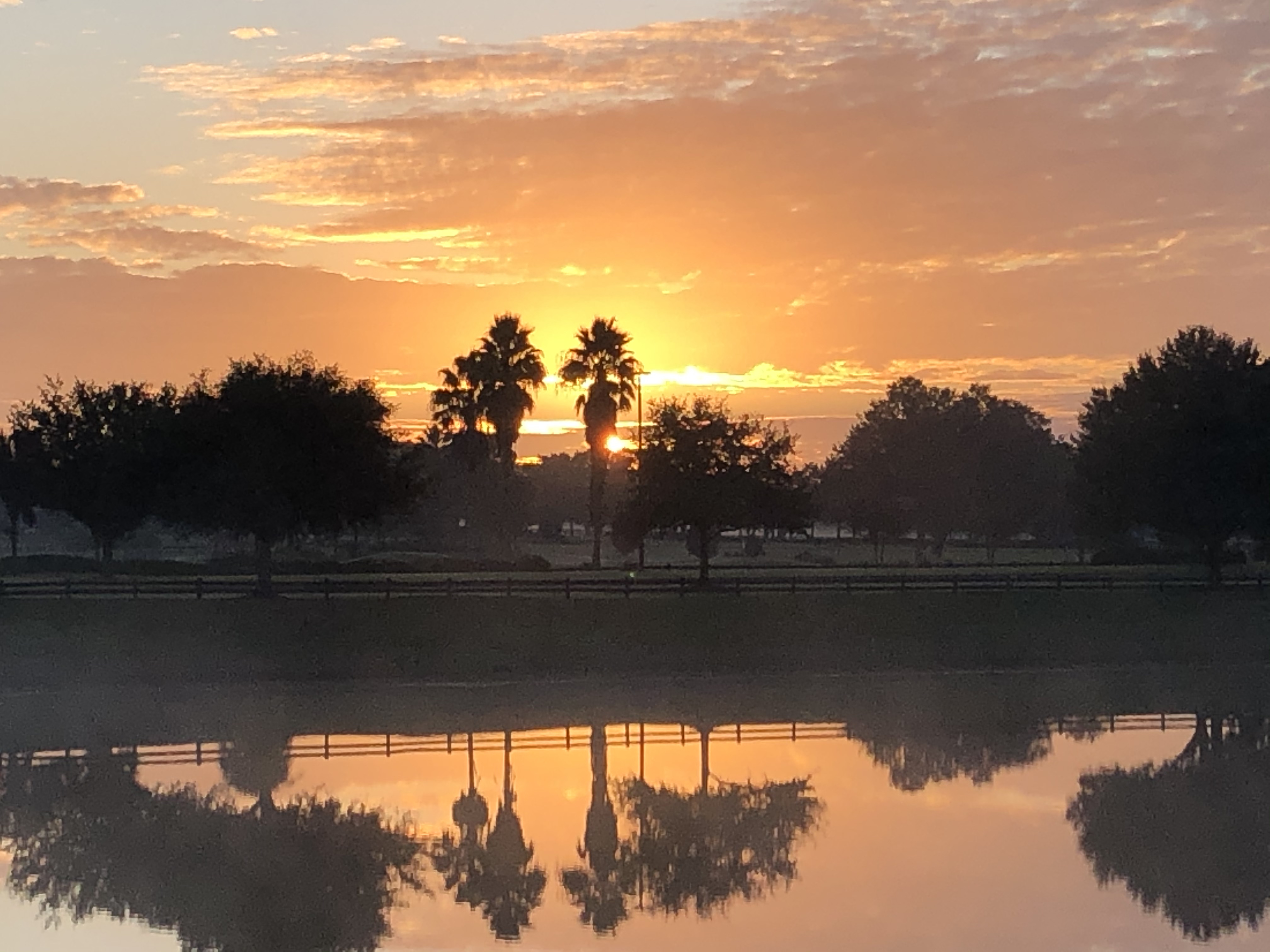 Village Sunrise Palms
